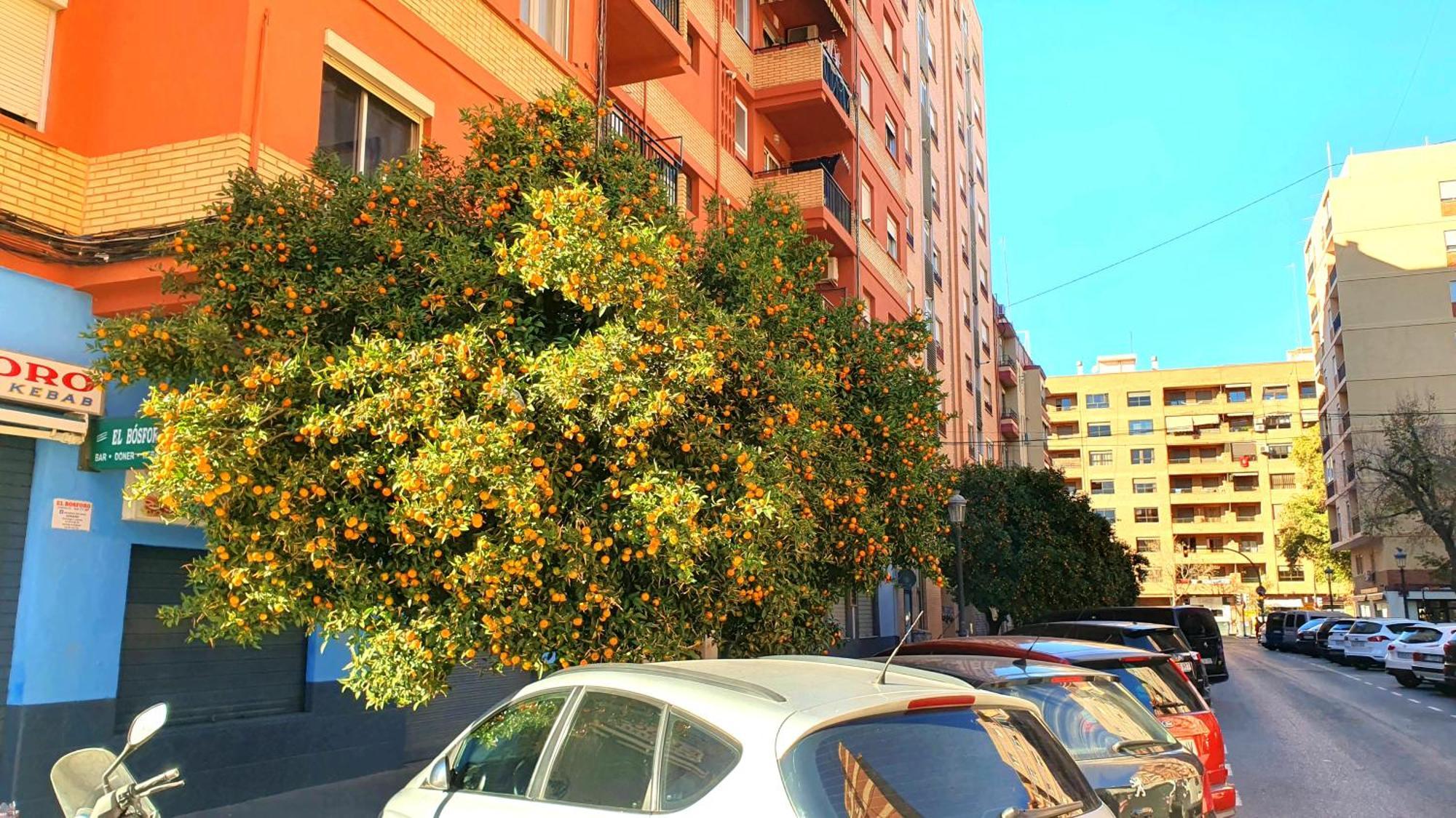 Nuevo Apartamentos Costa Del Alma Valence Extérieur photo