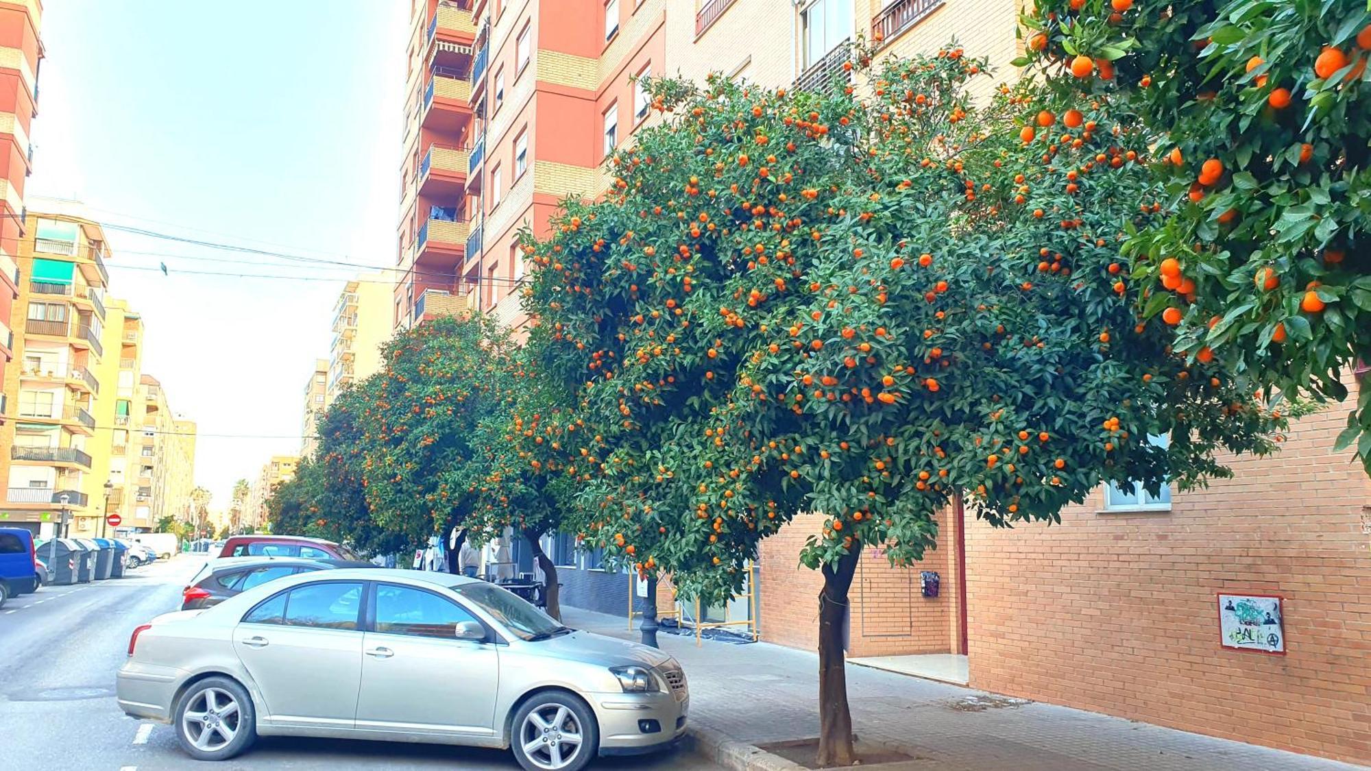 Nuevo Apartamentos Costa Del Alma Valence Extérieur photo
